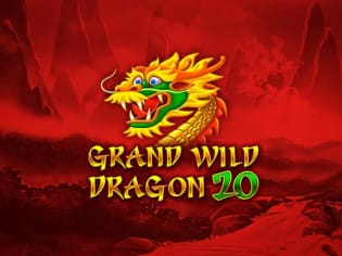 Grand Wild Dragon 20 screenshot